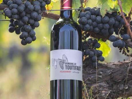 Domaine de Toutifaut