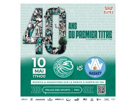 Basket ProB: Elan Béarnais Pau Lacq Orthez Vs Vichy