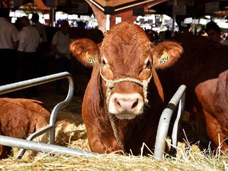 Festival de l'élevage