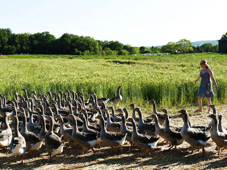 Aire de stationnement des Oies du Périgord Noir