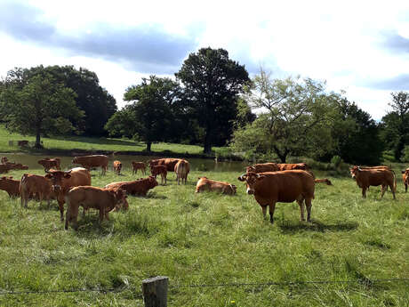 La Ferme du Boudet Champs