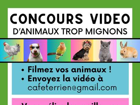 Festival International du Film Animalier de Guéret