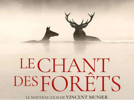 Film "Le chant des forêts"