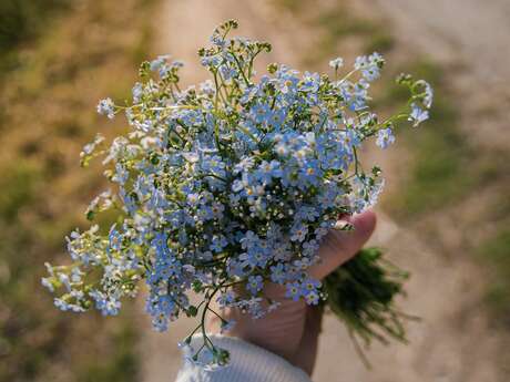 Les Ateliers de la mine : Atelier Art floral -