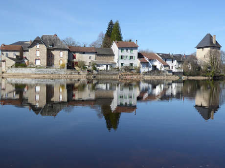 L'hirondelle du lac