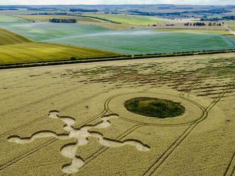 Conférence sur les agroglyphes