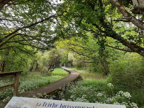 Les Jardins de la Clouère