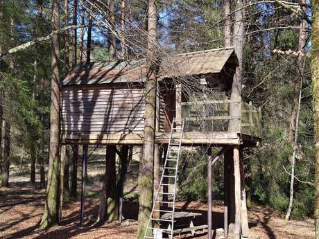 Cabane dans les arbres de la Ferme de Vassivière