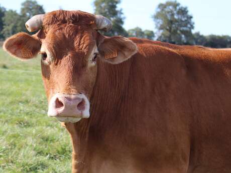 La Ferme du Bouchage
