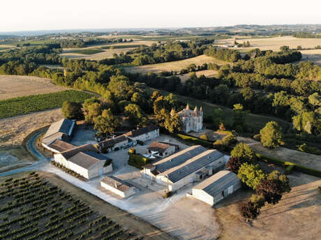 Châteaux en fête - Visite du vignoble à 14h