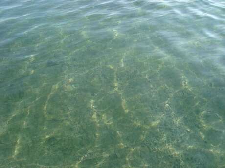 Lac de Marou