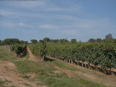 Sentier des Châtaigniers - Lembras