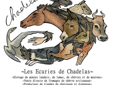 Les Ecuries de Chadelas