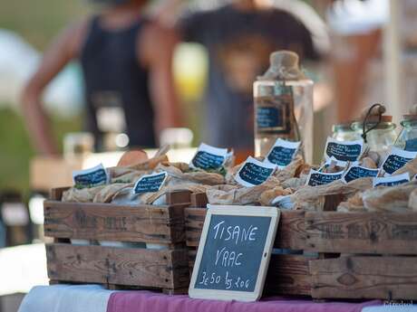 L'été des Simples, 7ème édition