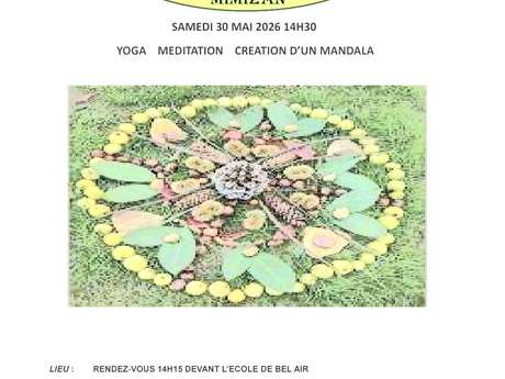 Yoga méditation création mandala en forêt