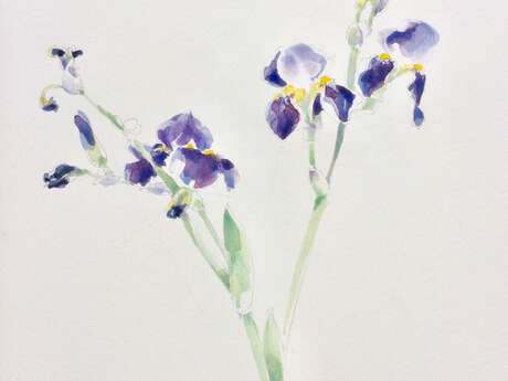 Exposition - Peintures & Dessins de Marie-Sophie Méjan