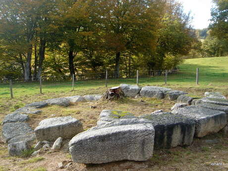 Les Vestiges Gallo-Romains des Mazières