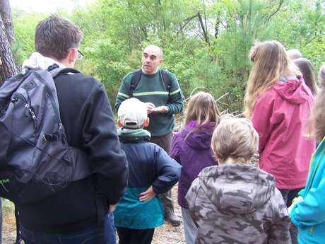 Visite guidée O.N.F Dune, Forêt littorale, Réserve biologique de la Maillouèyre