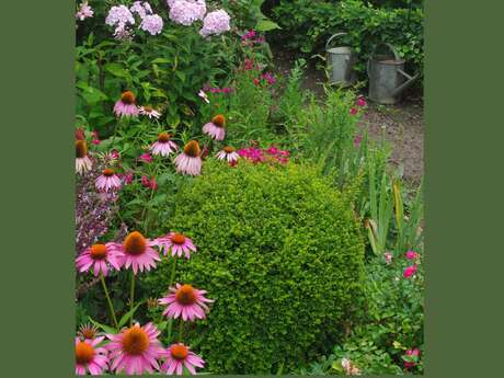 Visite guidée "Le jardin de Michel et Jacqueline"