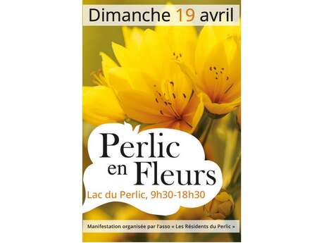 Perlic en fleurs