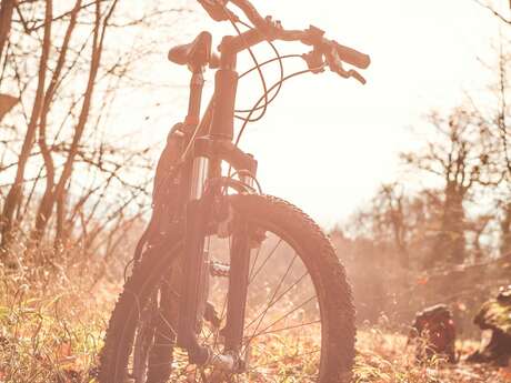 Randonnée pédestre et VTT