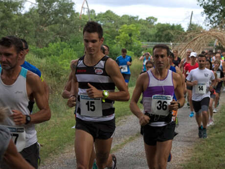 Course Pédestre