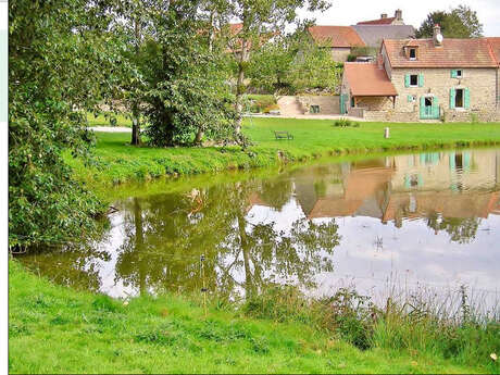 La Rainette