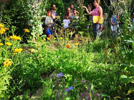 Les héros de l’ombre ! Moustiques, mouches et papillons…