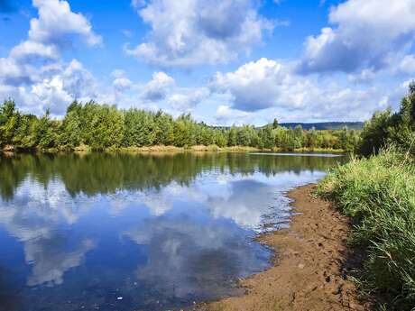 Sortie nature avec le CEN Nouvelle-Aquitaine