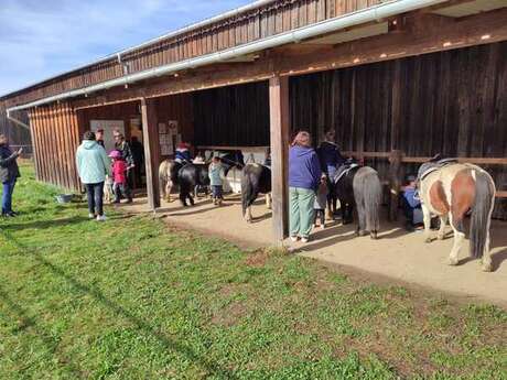 Poney-Club & Centre équestre - Les Poneys du Thaurion