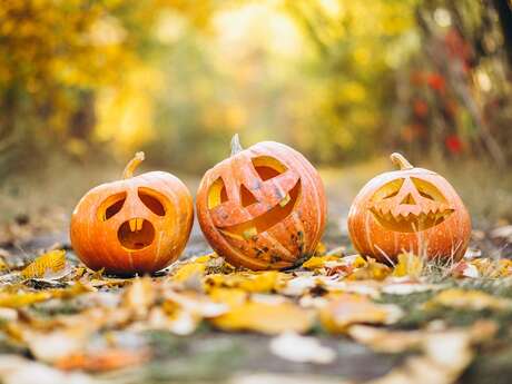 Halloween à l'Etang des Landes