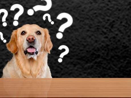 Quiz sur les animaux : Médiathèque La Ronde des mots
