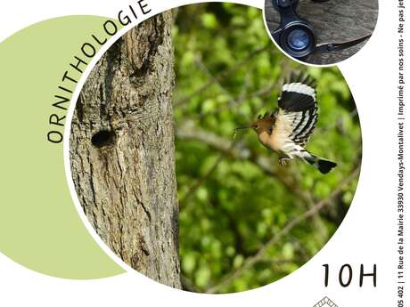 Rendez-vous Nature "Ornithologie"