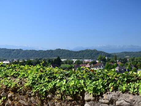 Lescar, capitale historique du Béarn