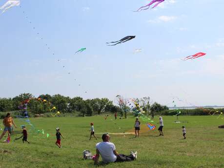 Fête du Vent à Terres d'Oiseaux