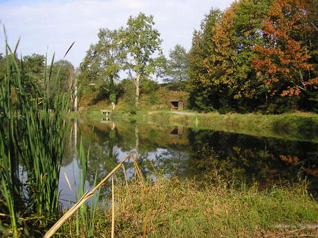 Balade à Roulettes n°10 : le lac Ducrest à Arudy