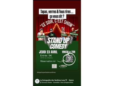 Stand up Comédy