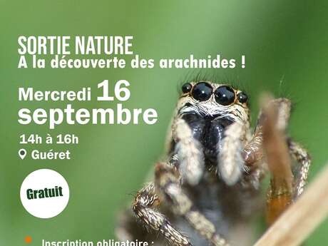 Animation nature : A la découverte des archnides !