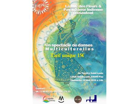 Un spectacle de danses multicurelles