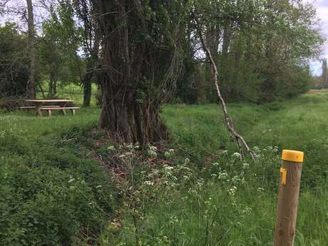 Boucle du Château de Longas