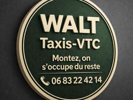 WALT AND GO TRANSPORTS