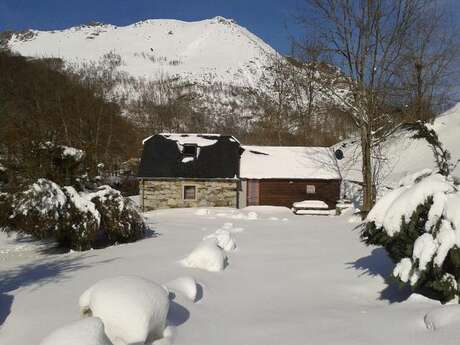 MOULIN