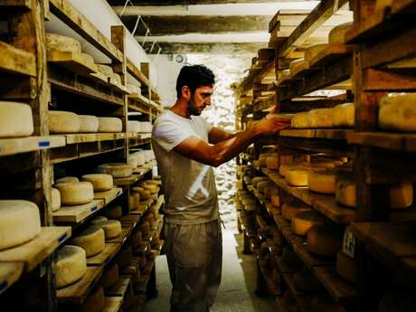 LA FROMAGERIE DU PLATEAU