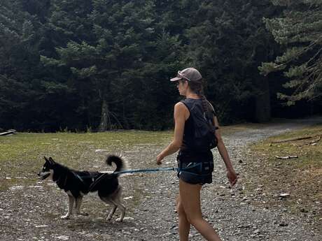 LA FILLE AUX LOUPS