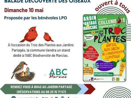 Balade découverte des oiseaux