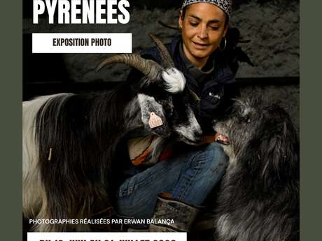 Exposition : Les chèvres Pyrénéennes