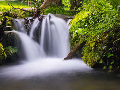 LA FONTAINE ET LA SOURCE DE CRASTES