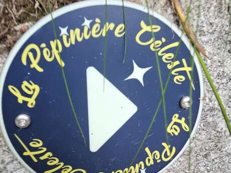 LA PEPINIERE CELESTE DE BAREGES