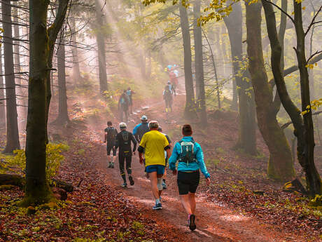 Rencontre sportives rando-challenge
