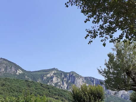 LE DOMAINE DE LA TOUR